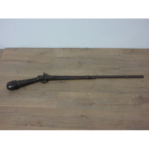 371 - An antique percussion Musket 4ft 5in L.