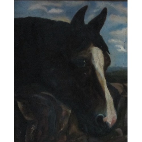 484A - FOLLOWER OF JOHN FREDERICK HERRING. Head of a horse, oil on canvas, 21 x 17in.