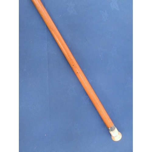 359 - A Malacca Cane and measure with ivory handle and white metal collar.