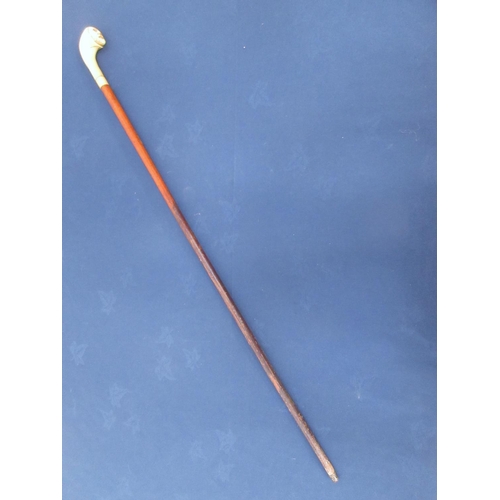 360 - A Malacca Cane with carved mask ivory handle.