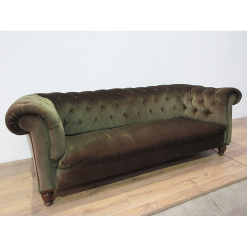 512 - A Victorian green upholstered button back Chesterfield Sofa mounted upon turned front supports 6ft 8... 