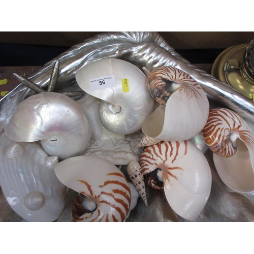 56 - A collection of real and imitation Shells including Nautilus and Scallops, two silver painted Starfi... 