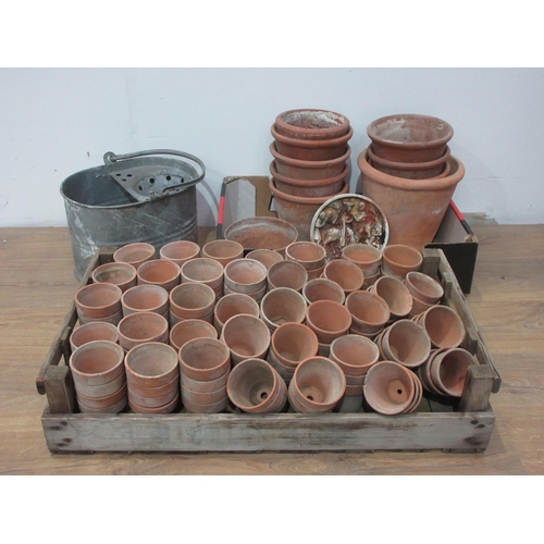 113 - A large quantity of assorted terracotta Plant Pots and a Mop Bucket