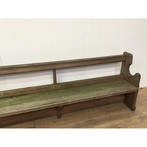 742 - A long antique pitch pine Church Pew 11ft 2in L x 2ft 8in H