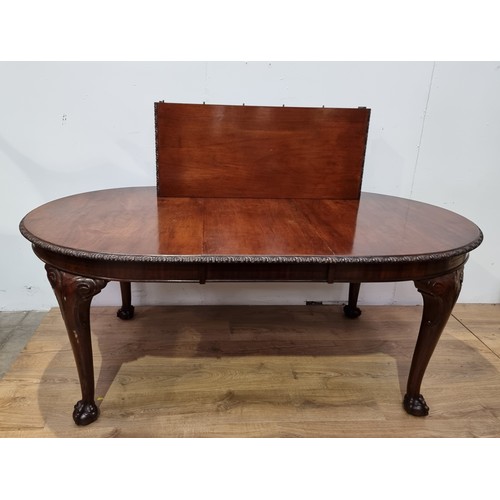 783 - A mahogany extending Dining Table with carved edge, on cabriole legs with ball and claw feet, 6ft x ... 