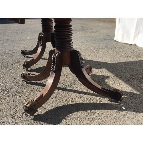 787 - A Regency mahogany twin pedestal Dining Table on ring turned colums each with four acanthus leaf car... 