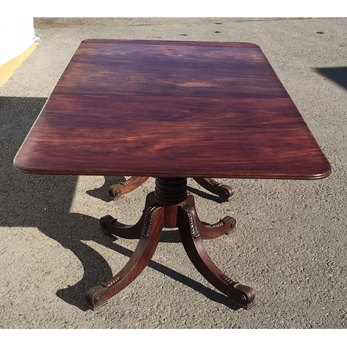 787 - A Regency mahogany twin pedestal Dining Table on ring turned colums each with four acanthus leaf car... 