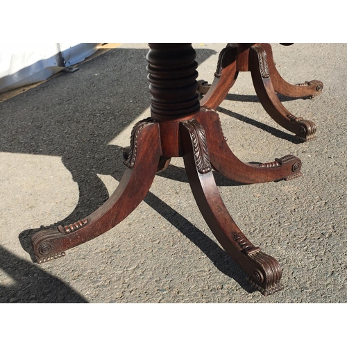 787 - A Regency mahogany twin pedestal Dining Table on ring turned colums each with four acanthus leaf car... 