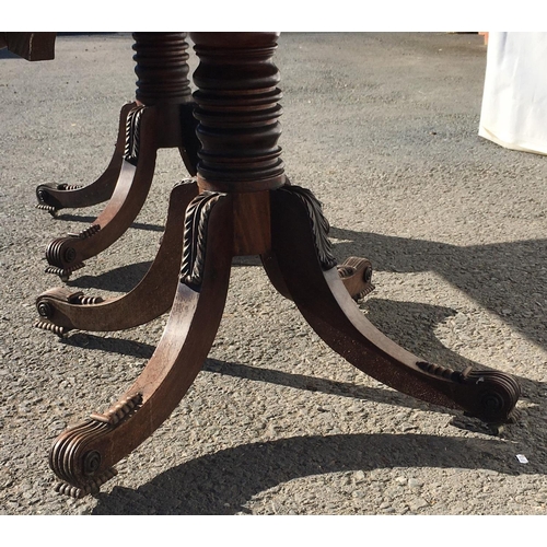 787 - A Regency mahogany twin pedestal Dining Table on ring turned colums each with four acanthus leaf car... 