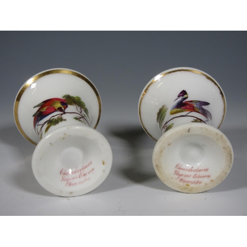 514 - A pair of miniature Chamberlain Worcester flared rim Vases painted exotic birds on branches (one wit... 