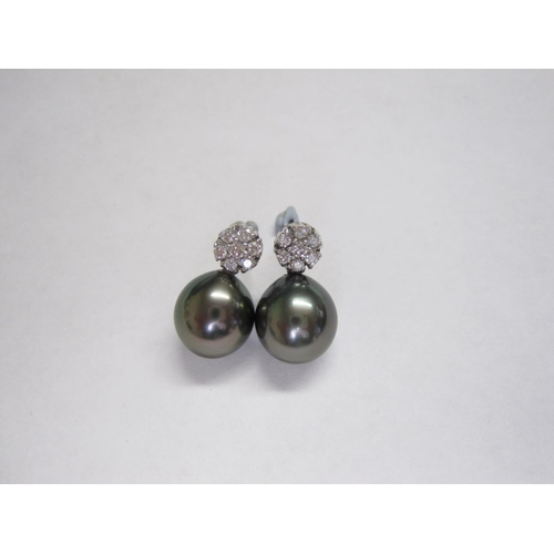 201 - A pair of Diamond and black cultured Pearl earrings each claw-set a cluster of seven brilliant-cut d... 