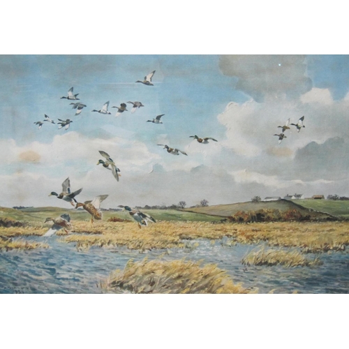 344 - HUGH MONAHAN. Mallard dropping in and greylag geese flighting in, colour prints, signed in pencil, p... 