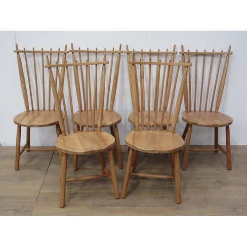 473 - A set of six modern beech rake back Kitchen Chairs 3ft 6in H