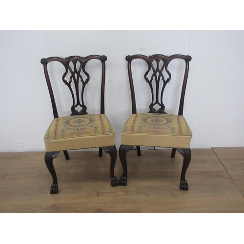 538 - A pair of mahogany Chippendale style Dining Chairs with needlework cushioned seats mounted upon carv... 