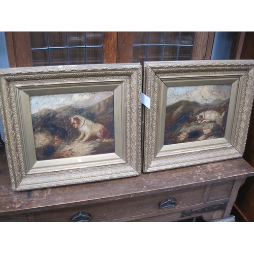 337 - MANNER OF GEORGE ARMFIELD. Terriers rabbiting, oil on canvas, 10 x 12 in, a pair (2). a/f