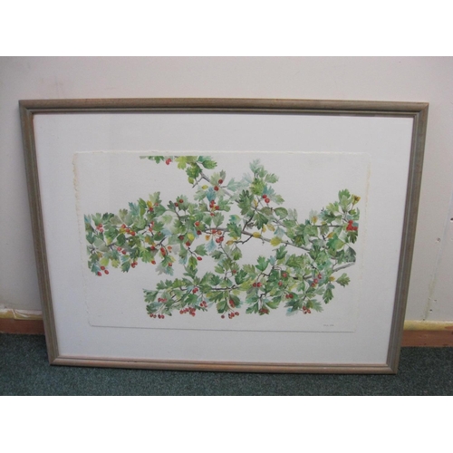 247 - VAL ARCHER. Red berries on branches, signed, watercolour, 16 x 22 1/2 in; and three other botanical ... 