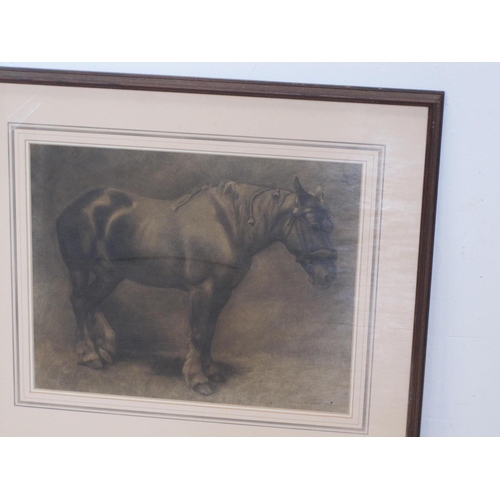 274 - MARGARET BATTAMS. Study of a heavy horse, signed, charcoal and black crayon, 16 x 20 in.