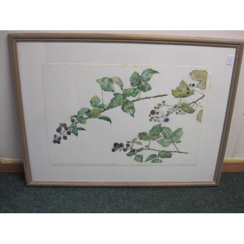 278 - VAL ARCHER. Berries on a plate, signed and dated 1986, watercolour, 15 x 22 in; one other watercolou... 