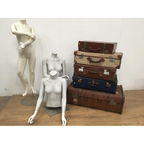 290 - Three display Mannequins, four various cases and a trunk