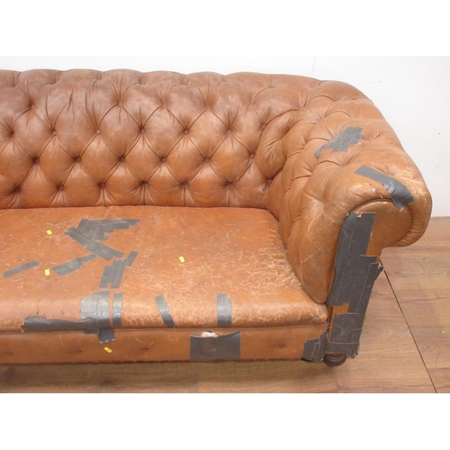 506 - A button upholstered leather Chesterfield on turned supports and casters 6ft 5 in W, in need of exte... 