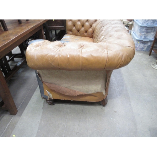 506 - A button upholstered leather Chesterfield on turned supports and casters 6ft 5 in W, in need of exte... 