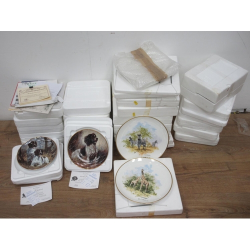 637 - A large collection of collectors Plates.