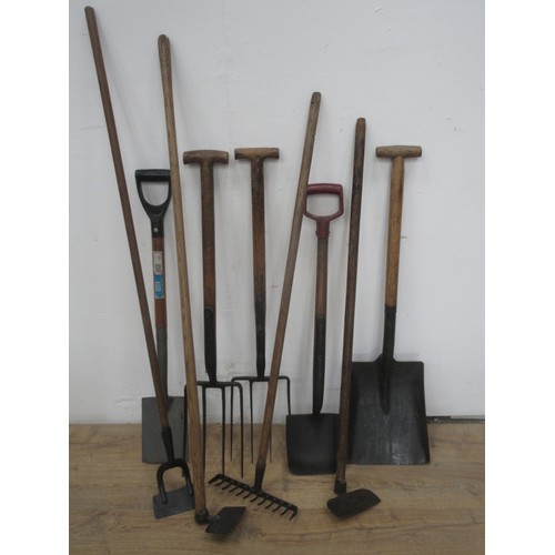 593 - A quantity of Garden Tools including Shovel, Spade, Forks and Rake.