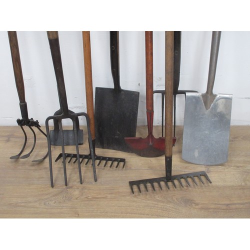 596 - A quantity of Garden Tools including Spades, Forks, Rakes, etc.