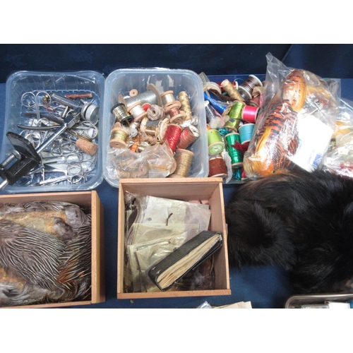 313 - A quantity of Fly-Tying Materials including golden pheasant, Francolin feathers and fur, various Hoo... 