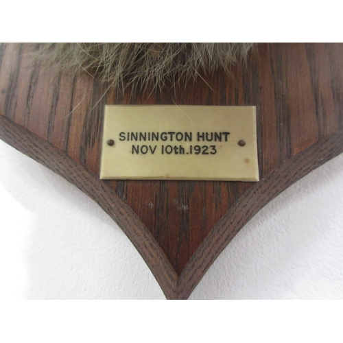 434 - A Fox Mask with label 'Sinnington Hunt Nov 10th 1923', P. Spicer & Sons stamps to rear