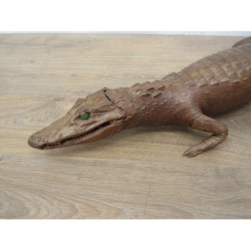 482 - A taxidermy specimen of a juvenile Crocodile A/F 3ft 3in L