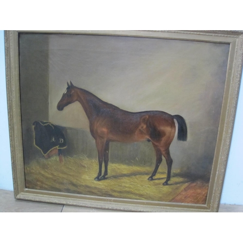 303 - ENGLISH SCHOOL, 19th Century. A bay hunter in a stable, bears inscription on stretcher verso 'Prince... 