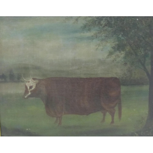 320 - ENGLISH SCHOOL, mid 19th Century. A Herefordshire Bull in a meadow, oil on canvas, 20 x 24 in; toget... 