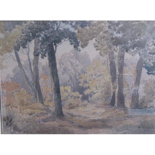 321 - A. CAPON. A forest scene, signed, watercolour, 13 1/2 x 18 in