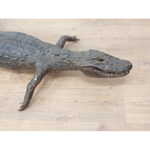 110 - An antique taxidermy specimen of a juvenile Alligator A/F 4ft 6in L