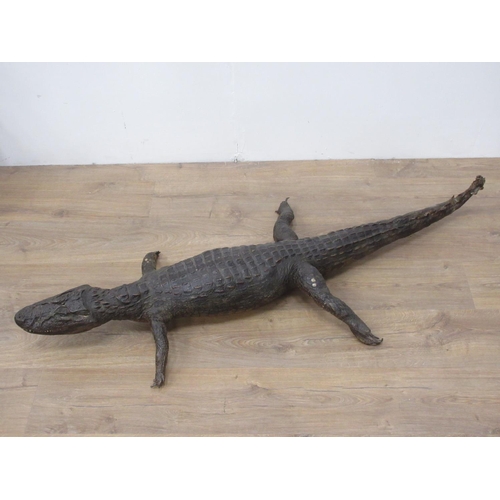 110 - An antique taxidermy specimen of a juvenile Alligator A/F 4ft 6in L