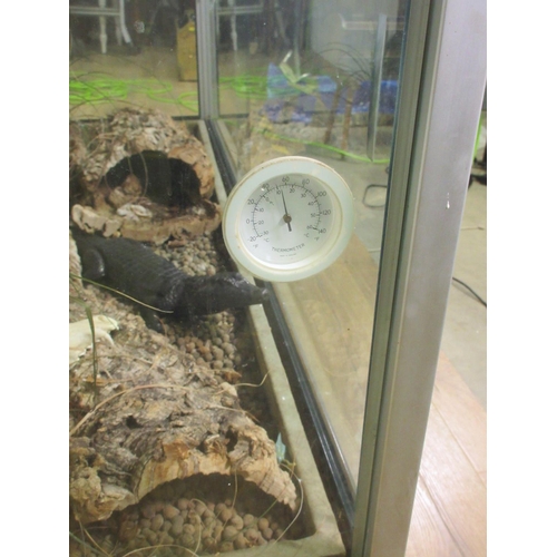 486 - A large Vivarium with enrichment logs 4ft 7in W x 3ft 1in H