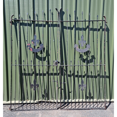 662 - A large pair of cast iron Garden Gates 8ft H x 3ft 7in W