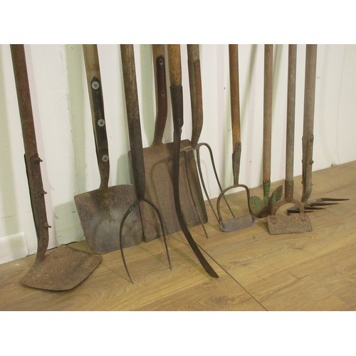 39A - Quantity of garden Tools including  Rake, Hoes, edging Spade etc