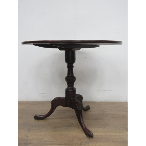 141 - A Georgian mahogany circular Pillar Table on shell carved tripod supports 2ft 9in D x 2ft 4in H