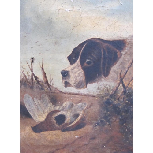 271 - C. HARRIS. A pointer and partridge, signed, oil on canvas, 16 1/2 x 14in.