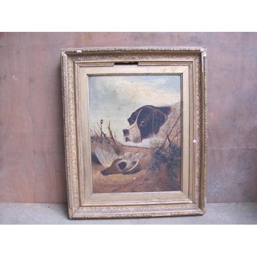 271 - C. HARRIS. A pointer and partridge, signed, oil on canvas, 16 1/2 x 14in.