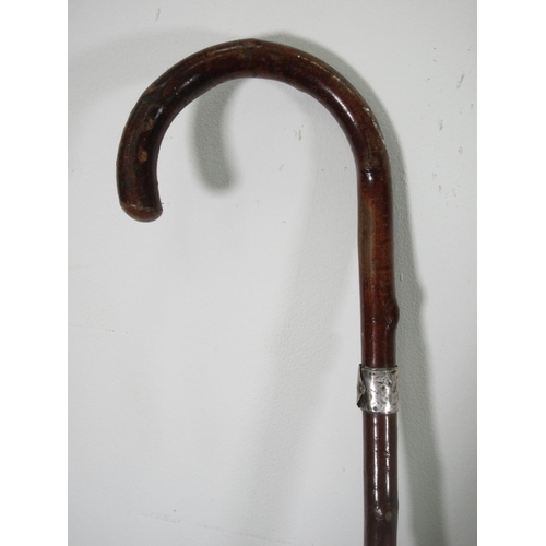 65 - A James O. Robinson 'Elwell' Commemorative Spade and two Walking Sticks