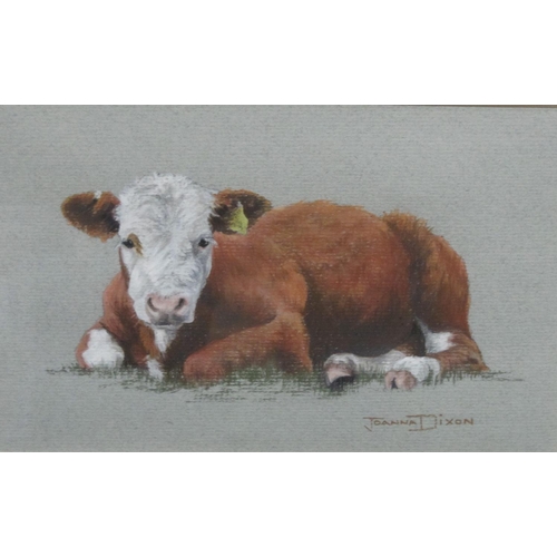 659 - JOANNA DIXON. A White-Face Calf, signed, pastel, 5 1/4 x 8in; together with a selection of pictures ... 