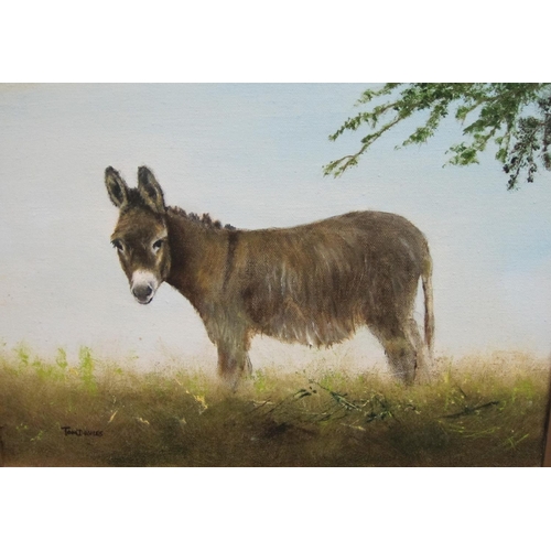 659 - JOANNA DIXON. A White-Face Calf, signed, pastel, 5 1/4 x 8in; together with a selection of pictures ... 