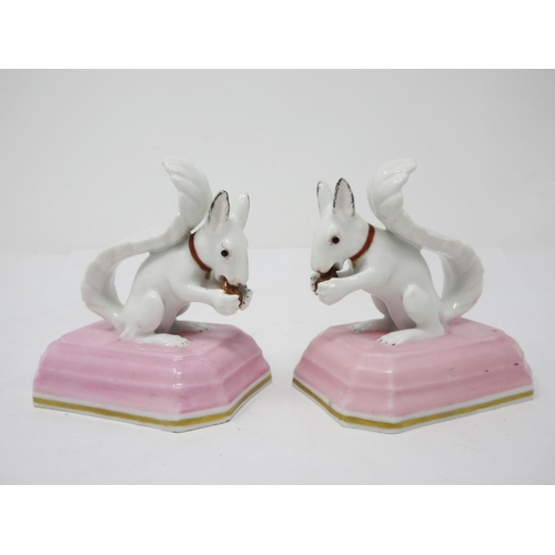 279 - A pair of Chamberlain Worcester figures of Squirrels with pink painted collars with gilt highlight o... 