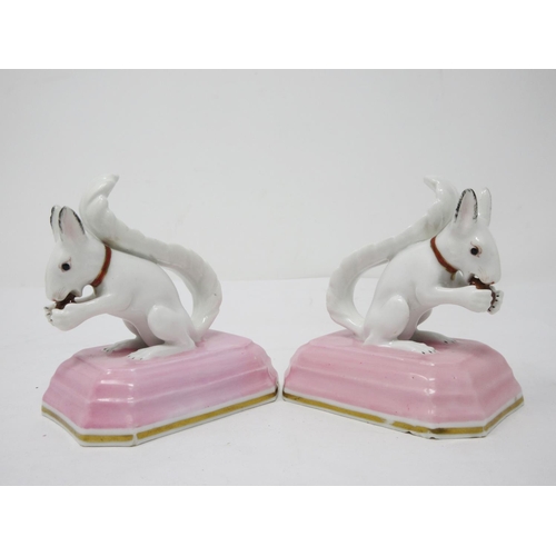 279 - A pair of Chamberlain Worcester figures of Squirrels with pink painted collars with gilt highlight o... 