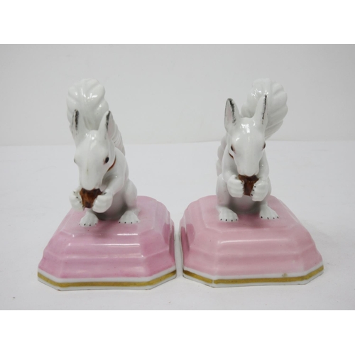 279 - A pair of Chamberlain Worcester figures of Squirrels with pink painted collars with gilt highlight o... 