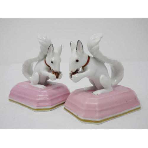 279 - A pair of Chamberlain Worcester figures of Squirrels with pink painted collars with gilt highlight o... 