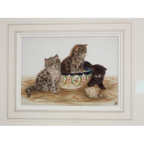 298 - An opaline glass painted Picture of three kittens, one  sat in a porcelain bowl and two others on fl... 